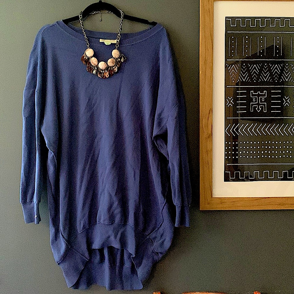 Anthropologie heavy sweatshirt dress.